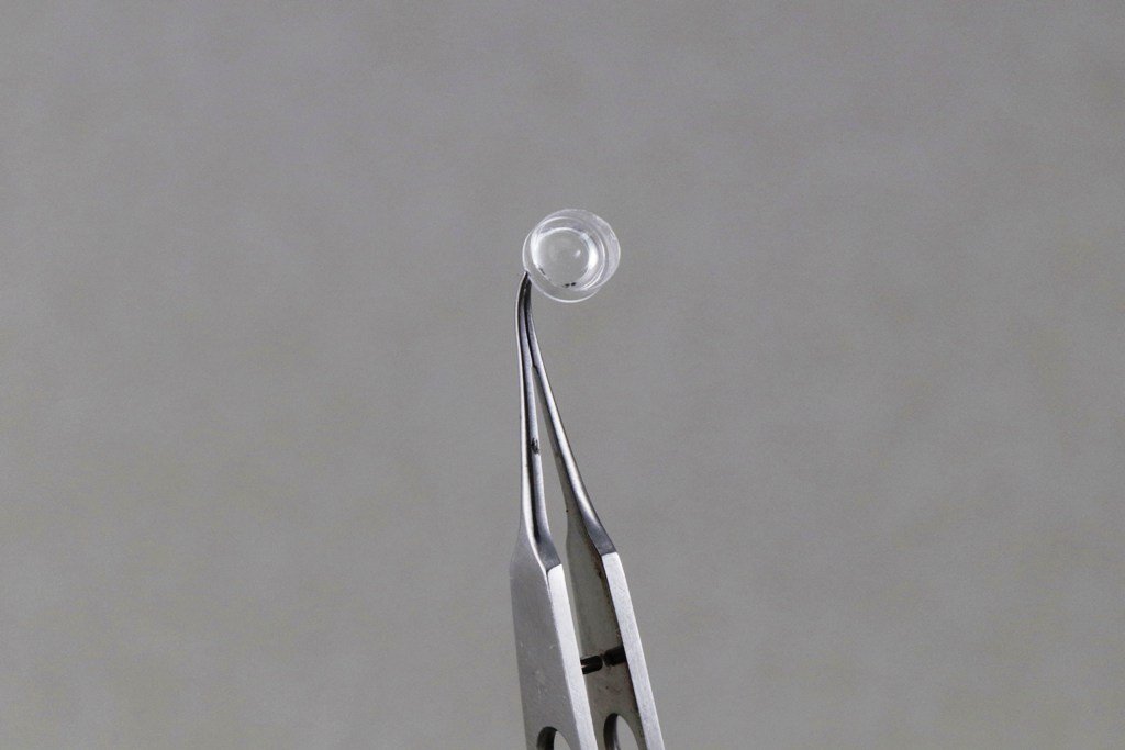 Rodent Intravitreal Lens