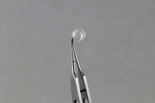 Rodent Intravitreal Lens